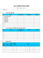 Mẫu Báo cáo phụ trách hành chính