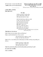 Đề thi thử tốt nghiệp THPT năm 2021 môn Ngữ văn có đáp án - Trường THPT Nguyễn Thị Minh Khai