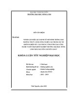 Đánh giá hiệu quả kinh tế mô hình trồng rau muống thuỷ canh công nghệ cao trong dự án khởi nghiệp số 1 tại trung tâm ươm tạo công nghệ và hỗ trợ khởi nghiệp 