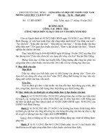 Huong dan phuc tra Don vi Dat chuan Van hoa nam 2012