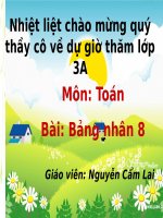bang nhan 8lop 3