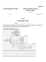 Mẫu Báo cáo tình hình sử dụng lao động (Mẫu số: 01/PLI)