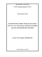 Luận văn Thạc sĩ Kinh tế: Giải pháp phát triển tín dụng bất động sản của các ngân hàng thương mại trên địa bàn Thành phố Hồ Chí Minh