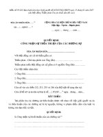 Mẫu Quyết định công nhận sự thỏa thuận của các đương sự (dành cho Hội đồng xét xử)