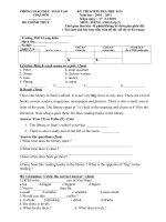 De thi HKI lop 71011