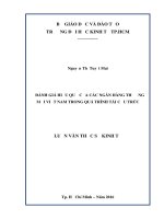 Luận văn Thạc sĩ Kinh tế: Đánh giá hiệu quả của các ngân hàng thương mại Việt Nam trong quá trình tái cấu trúc