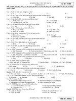 De kiem tra Tin 6 Lan 1