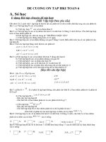 DE CUONG ON TAP TOAN 6 KY I