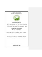 Phân tích chuỗi giá trị chè xanh tại vườn quốc gia xuân sơn, tỉnh phú thọ 