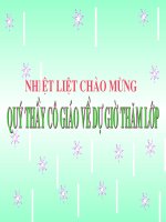 Tiet 30 Doi luuBuc xa nhiet