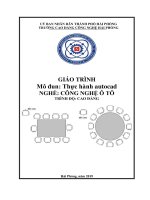 Giáo trình Thực hành Autocad (Ngành:Công nghệ ô tô) - CĐ Công nghiệp Hải Phòng
