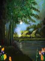 Bài giảng: Diện tích hình tròn – Toán lớp 5