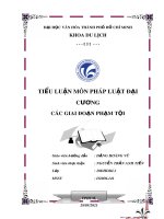 Tiểu luận Pháp luật đại cương: Các giai đoạn phạm tội - Nguyễn Trần Anh Tiến