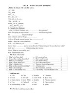 Unit 8 – What are you reading? – Test 2 – Bài tập Tiếng Anh 5