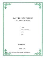 BÀI TIỂU LUẬN CUỐI KỲ tdht