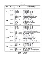 GIAO AN LOP 3 CKTKNKNSGDSDNLTKHQ TUAN 19