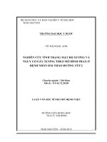 Luận văn thạc sĩ nghiên cứu tình trạng mật độ xương và nguy cơ gãy xương theo mô hình frax ở bệnh nhân đái tháo đường týp 2​ 