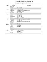 giao an tuan 10 CKTKNS GT