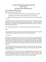 đáp án tự luận tập huấn môn toán lớp 6 (sách chân trời sáng tạo)