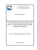 Kiểm soát rủi ro tín dụng trong cho vay tiêu dùng tại ngân hàng thương mại cổ phần đầu tư và phát triển việt nam chi nhánh bắc đăk lăk 