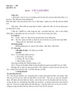 Tiet 35 Cac loai hoa