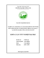 Nghiên cứu ảnh hưởng của chất kích thích sinh trưởng fitomix đến khả năng hình thành cây hom dâm bụt hibiscus rosa sinensis tại trường đại học nông lâm thái nguyên 