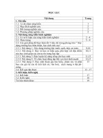 SKKN một số giải pháp xây dựng trường học thân thiện, học sinh tích cực tại trư¬ờng tiểu học hền chung 