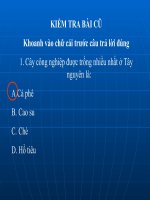 hoat dong san xuat cua nguoi dan Tay Nguyen tt