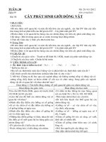 sinh7 tiet 5960 tuan 31