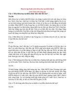 đáp án tự luận tập huấn môn môn khoa học tự nhiên lớp 6 (sách chân trời sáng tạo)