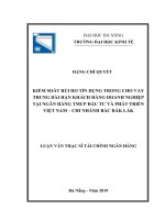 Kiểm soát rủi ro tín dụng trong cho vay trung dài hạn doanh nghiệp tại ngân hàng thương mại cổ phần đầu tư và phát triển việt nam chi nhánh bắc đắk lắk 
