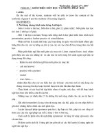 anh 6 giam tai moi nhat