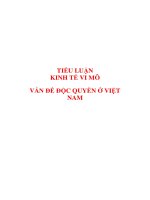 Tiểu luận kinh tế Vi Mô: Vấn đề độc quyền ở Việt Nam