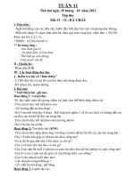 LOP2TUAN11CKTGTKNSNGANG