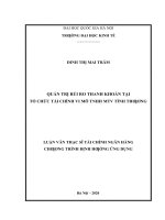 Luận văn thạc sĩ quản trị rủi ro thanh khoản tại tổ chức tài chính vi mô TNHH MTV tình thương​ 