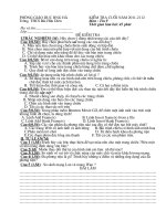 de kiem tra HKII Tin 9