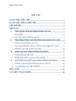 Tiểu luận Kinh doanh quốc tế: Tình hình đầu tư ra nước ngoài của doanh nghiệp Việt Nam giai đoạn 2015-2020