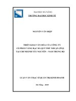 Triển khai văn hóa của công ty cổ phần vàng bạc đá quý phú nhuận pnj tại chi nhánh tây nguyên nam trung bộ 