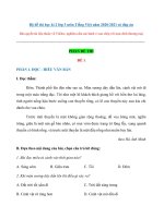 Bộ đề thi học kì 2 lớp 3 môn Tiếng Việt năm 2020-2021 có đáp án