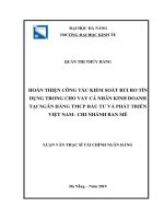 Hoàn thiện công tác kiểm soát rủi ro tín dụng trong cho vay cá nhân kinh doanh tại ngân hàng TMCP đầu tư và phát triển việt nam chi nhánh ban mê 