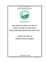 Luận văn thạc sĩ giải pháp huy động vốn đầu tư nâng cao tiêu chí xây dựng nông thôn mới thành phố sông công 