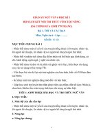 Giáo án (kế hoạch bài học) Ngữ văn 6 bộ sách Kết nối tri thức với cuộc sống  (Giáo án chất lượng, kì 1)