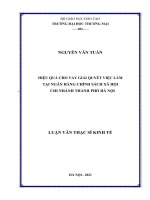 Luận văn thạc sĩ hiệu quả cho vay giải quyết việc làm tại ngân hàng chính sách xã hội – chi nhánh thành phố hà nội 
