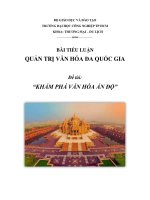 Tiểu luận  Khám phá văn hoá Ấn Độ