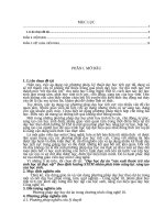 SKKN dạy học dự án sản xuất thuốc trừ sâu sinh học từ thực vật  theo định hướng STEM nhằm phát triển năng lực sáng tạo của học sinh 