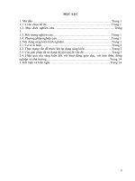 SKKN sử dụng sơ đồ tư duy để dạy phần phân bào trong sinh học lớp 10 