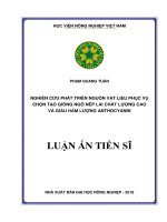 Nghiên cứu phát triển nguồn vật liệu phục vụ chọn tạo giống ngô nếp lai chất lượng cao và giàu hàm lượng anthocyanin 