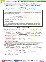 PHÂN DẠNG BÀI TẬP VÀ VÍ DỤ MINH HỌA HALOGEN