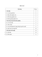 SKKN một số giải pháp giúp học sinh lớp 8 trường THCS nga thành làm tốt dạng toán phân tích đa thức thành nhân tử 