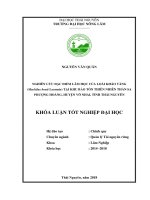 Nghiên cứu đặc điểm lâm học của kháo vàng machilus bonii lecomte tại khu bảo tồn thiên nhiên thần sa phượng hoàng huyện võ nhai tỉnh thái nguyên 